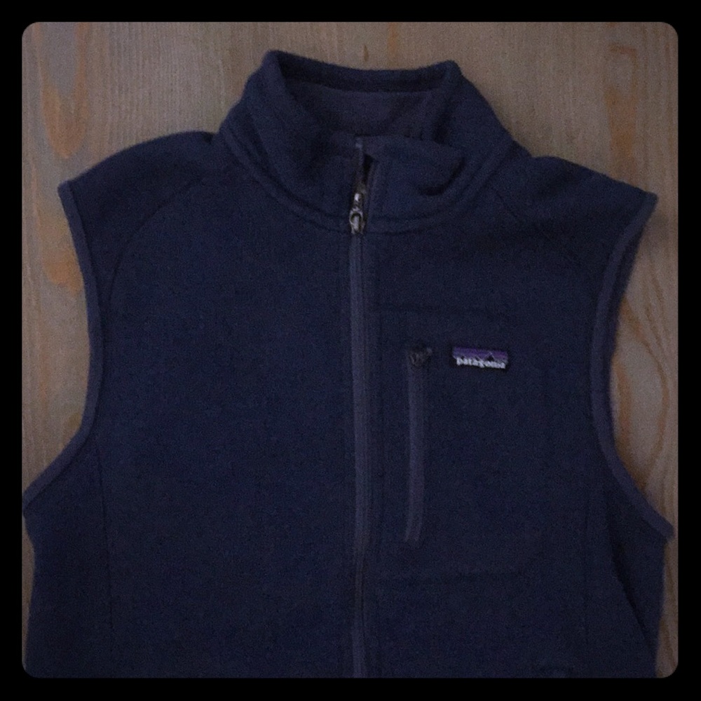 Patagonia Classic Synchilla Fleece Vest